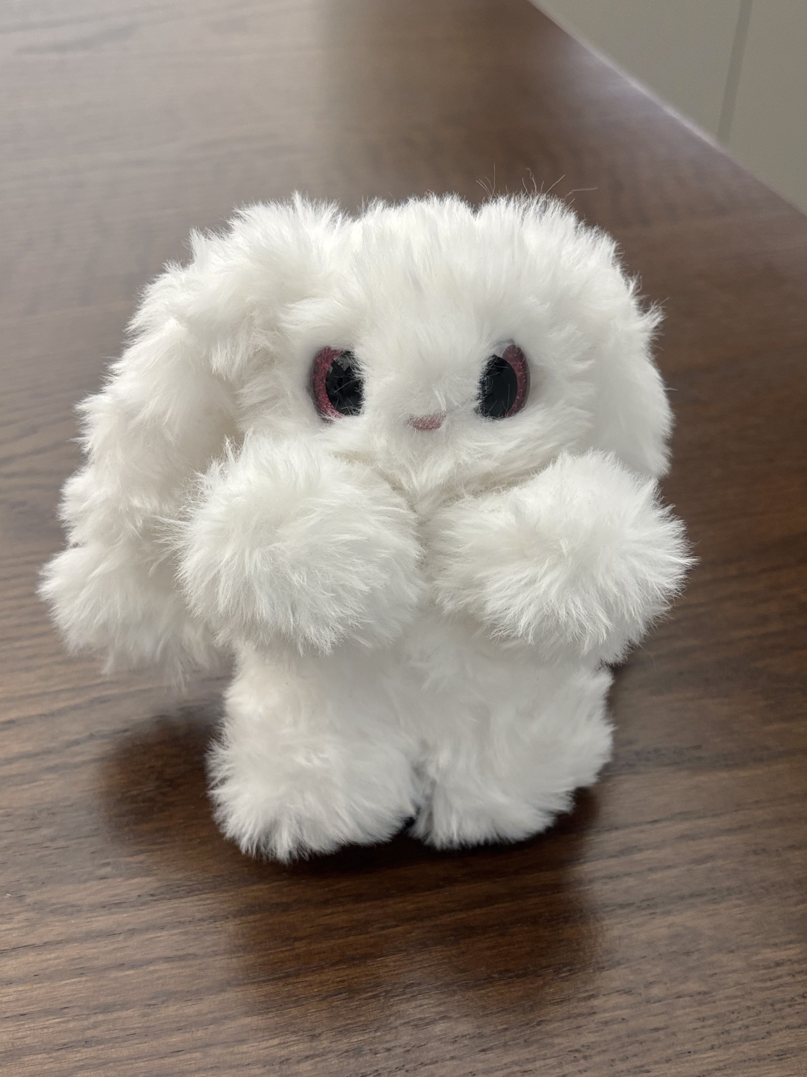 Lop Rabbit 3